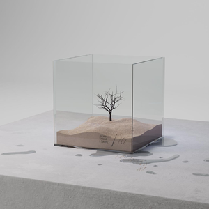 国产一区二区精品五月婷亚洲
